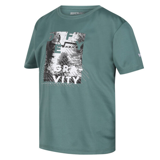 Kids' Alvarado VII Graphic T-Shirt | Sea Pine